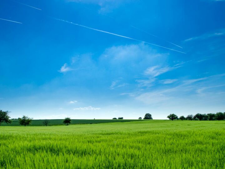 RastiLand